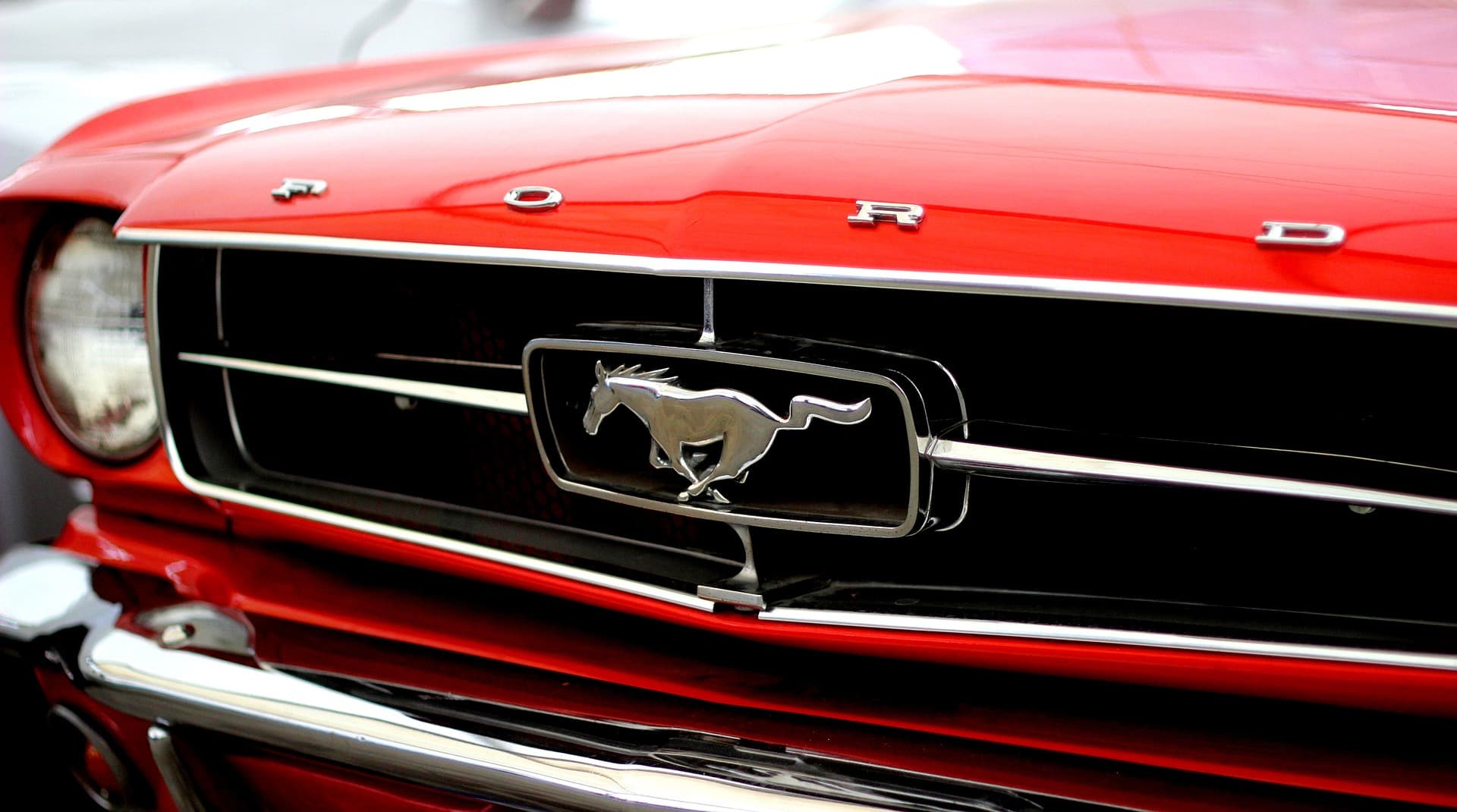 image of a mustang